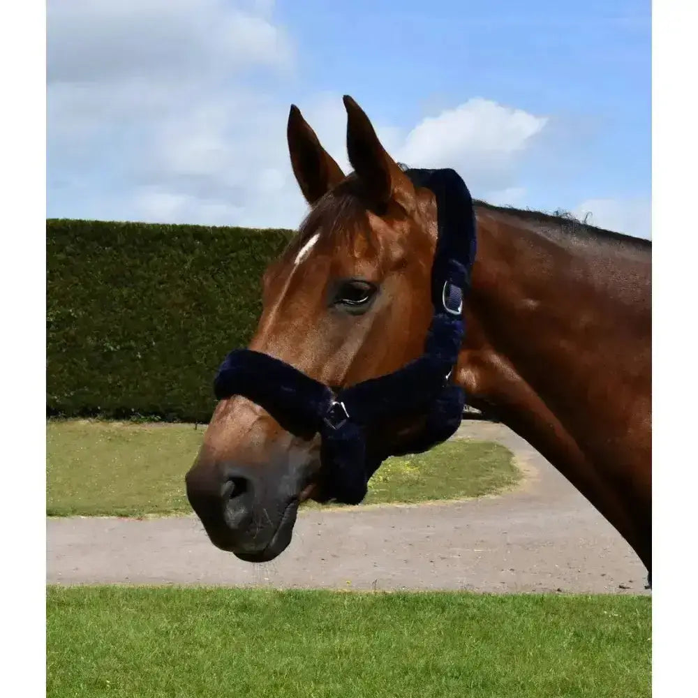 Navy blue plush horse halter with rhinegold fur trim and soft faux fur trim headcollar for comfort and style