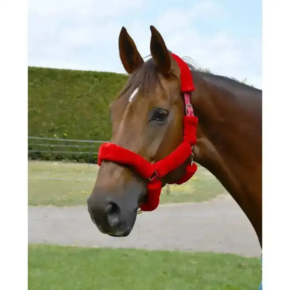 Red plush horse halter with padded straps and metal hardware featuring rhinegold fur trim faux fur trim headcollar