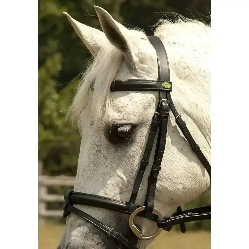 Black leather rhinegold german leather bridle with silver hardware and detachable flash noseband with green brand emblem