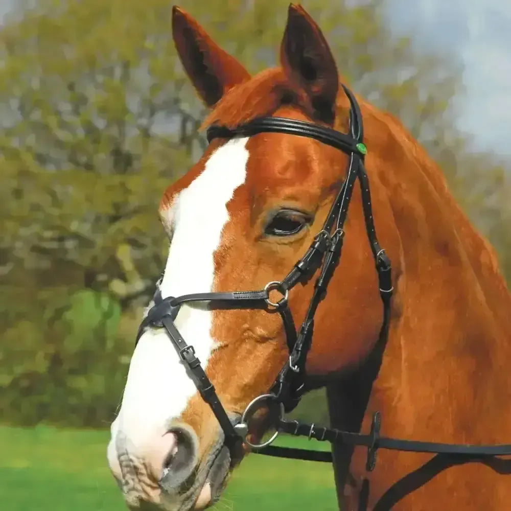 Rhinegold German Leather Comfort Bridle With Mexican Noseband Black Cob Bridles