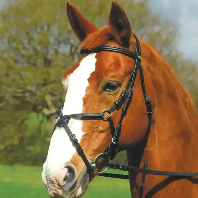 Rhinegold German Leather Comfort Bridle With Mexican Noseband Black Cob Bridles