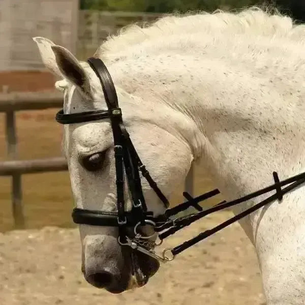 Rhinegold German Leather Comfort Double Bridle Black Pony Bridles