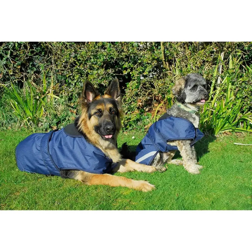 Rhinegold Highland Waterproof Dog Coats Navy Large Dog Coat Barnstaple Equestrian Supplies