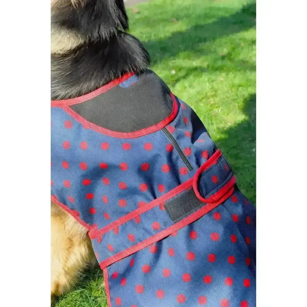 Rhinegold Highland Waterproof Dog Coats Navy Large Dog Coat