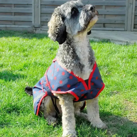 Navy blue rhinegold highland waterproof dog coat with red polka dots red trim v-neck 600denier ripstop material