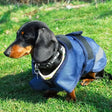 Rhinegold highland waterproof dog coat in blue with black straps and reflective gray 600denier waterproof ripstop back view