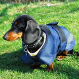 Rhinegold highland waterproof dog coat in blue with black straps and reflective gray 600denier waterproof ripstop back view