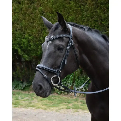 Black leather rhinegold italia anatomical flash bridle with silver studs and metal ring in softest quality leather