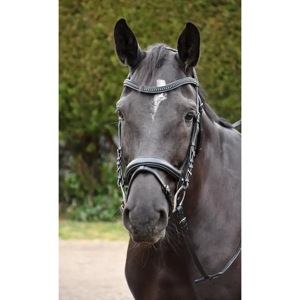 Rhinegold Italia Anatomical Flash Bridle Havana Pony Flash Bridles Barnstaple Equestrian Supplies