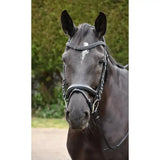 Black horse wearing a rhinegold italia anatomical flash bridle in softest quality leather with silver accents and stitching