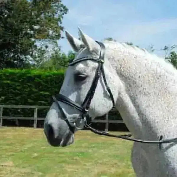 Rhinegold Italian Leather Anatomical Bridle With Flash Noseband Havana Full Bridles Barnstaple Equestrian Supplies