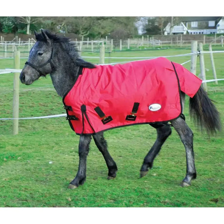 Rhinegold Konig Foal 200g Medium Weight Turnout Rug Standard Red 3'9" Turnout Rugs Barnstaple Equestrian Supplies