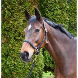 Rhinegold Lazio Plaited Leather Headcollar & Lead Pony Black Leather Headcollars