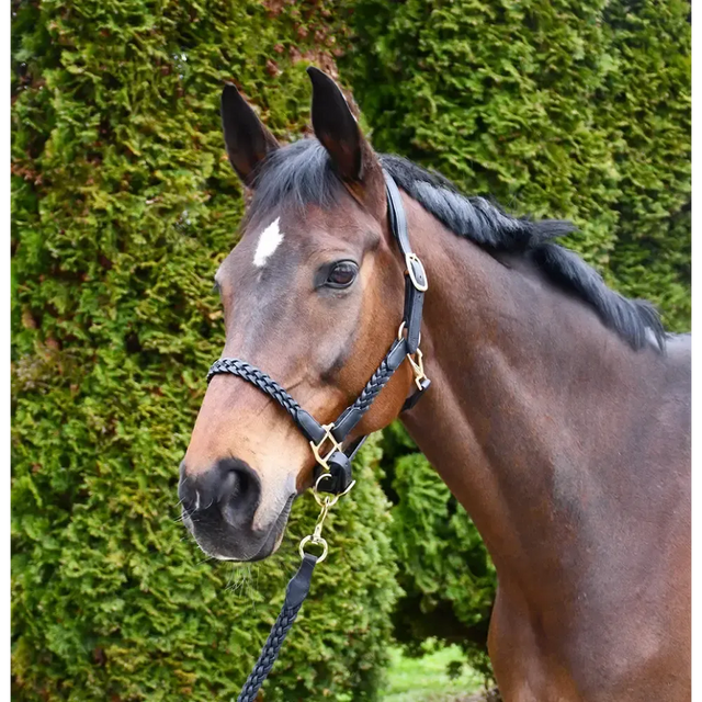 Rhinegold Lazio Plaited Leather Headcollar & Lead Pony Black Leather Headcollars