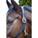 Rhinegold Lazio Plaited Leather Headcollar & Lead Pony Black Leather Headcollars