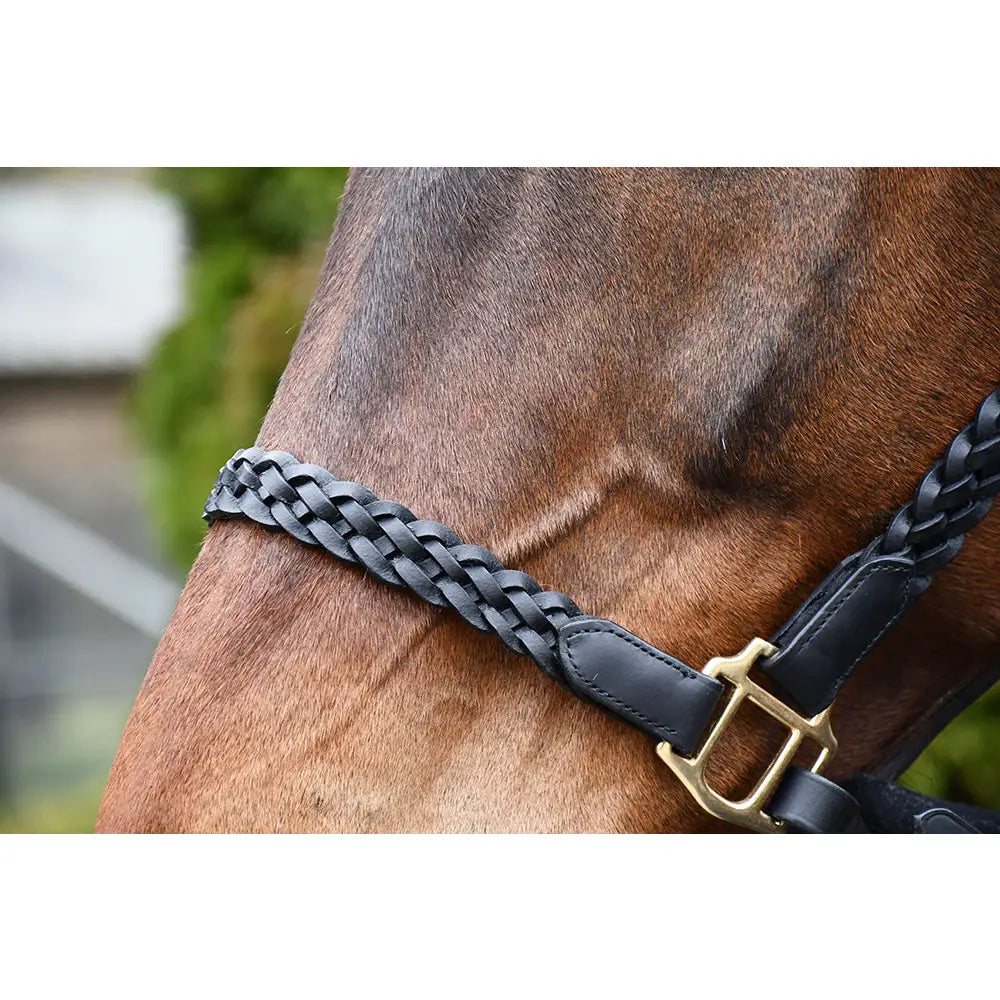 Black braided leather horse halter with gold buckle rhinegold lazio plaited leather headcollar and lead