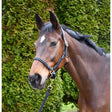 Black rhinegold lazio plaited leather headcollar featuring braided leather and gold-toned metal hardware