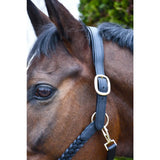 Dark blue leather rhinegold lazio plaited horse halter with gold buckle and braided strap plaited leather headcollar
