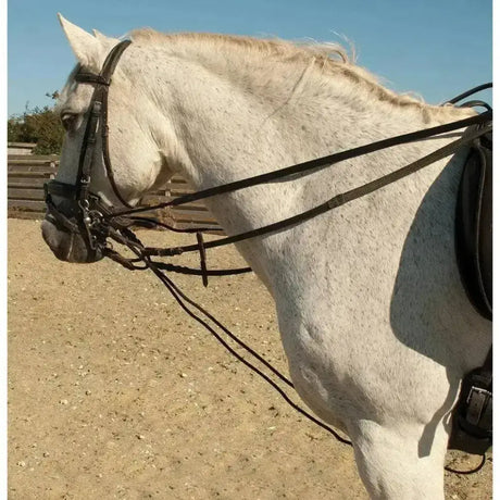 A white horse wearing rhinegold leather draw reins with rope insert and black leather girth attachment visible