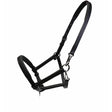 Black leather rhinegold leather foal yearling slip with silver hardware and padded crown for young horses