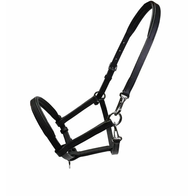 Black leather rhinegold leather foal yearling slip with silver hardware and padded crown for young horses