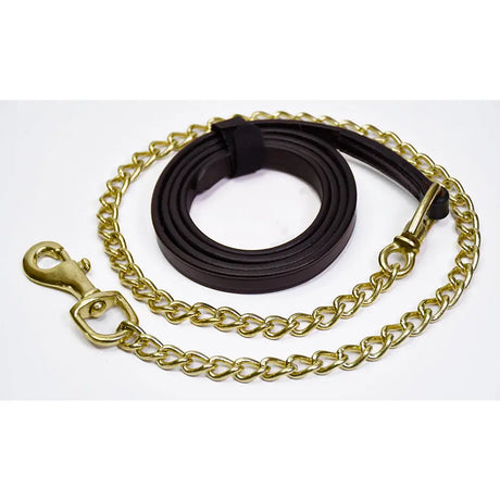 Dark brown rhinegold leather lead with gold toned chain and hardware for horse handling and training