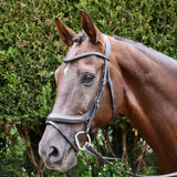 Rhinegold Leather Pro-Anatomical Bridle Havana Full Bridles Barnstaple Equestrian Supplies