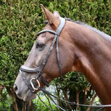Black leather rhinegold leather pro-anatomical bridle with silver hardware and padded leather crown for comfort