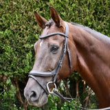 A sleek black rhinegold leather pro-anatomical bridle with silver hardware and padded leather crown for comfort