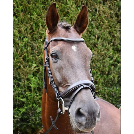 A sleek black rhinegold leather pro-anatomical bridle with silver hardware and padded leather crown for comfort