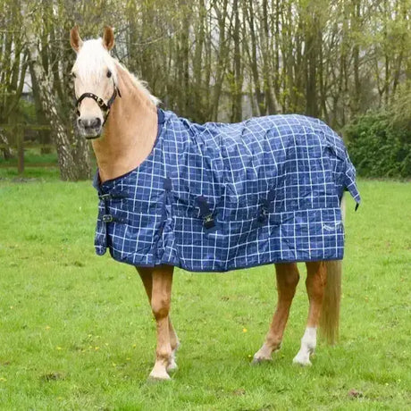 Blue plaid rhinegold lightweight turnout rug with white grid pattern black buckles fleece lined atlanta 0g horse