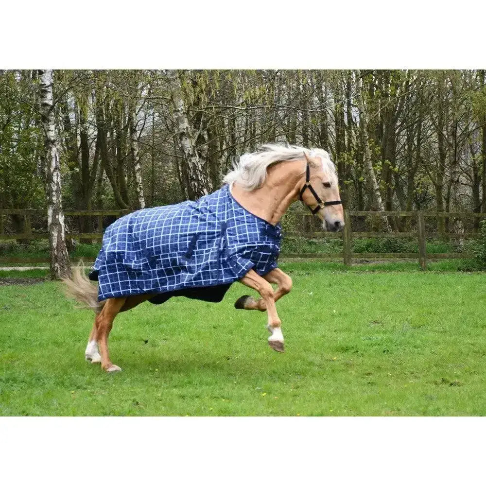 A light brown horse wearing a blue and white checkered rhinegold lightweight turnout rug atlanta 0g fleece lined