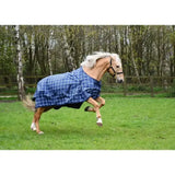 A light brown horse wearing a blue and white checkered rhinegold lightweight turnout rug atlanta 0g fleece lined