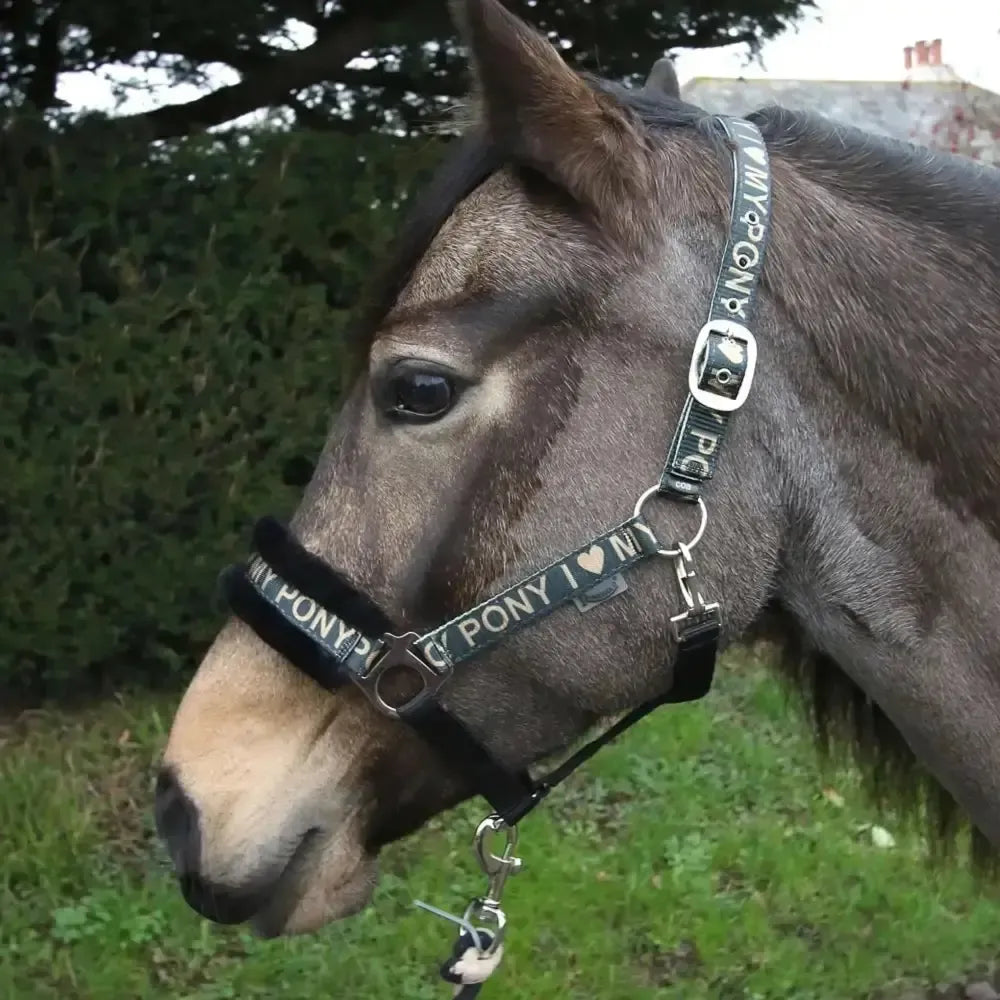 Rhinegold Love My Pony Headcollar & Lead Rope Set Gold Cob Headcollar Sets