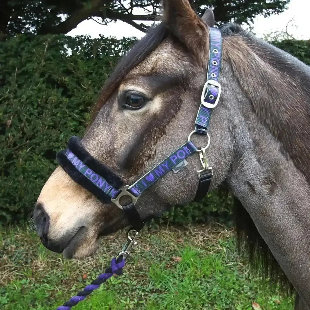 Rhinegold Love My Pony Headcollar & Lead Rope Set Purple Cob Headcollar Sets