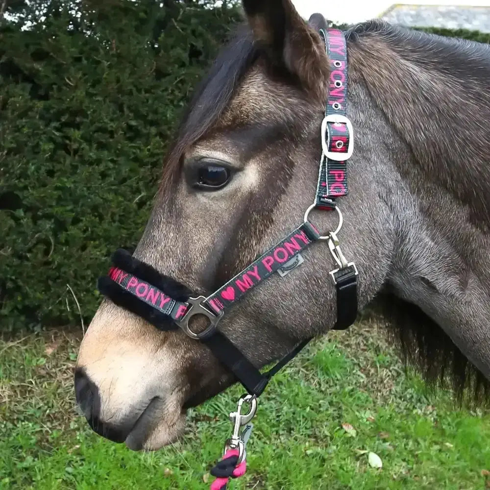 Black and pink rhinegold love pony headcollar with fur padded noseband and silver hardware for comfy rides