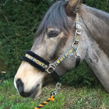 Black and gold rhinegold love pony headcollar with fur padded noseband and metal hardware for comfy wear