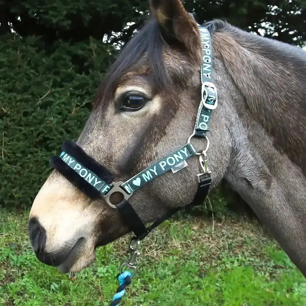 Green and black rhinegold love pony headcollar with fur padded noseband and i heart my pony design