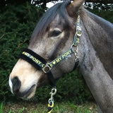 Rhinegold Love My Pony Headcollar & Lead Rope Set Yellow Cob Headcollar Sets