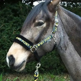 Rhinegold Love My Pony Headcollar & Lead Rope Set Yellow Cob Headcollar Sets
