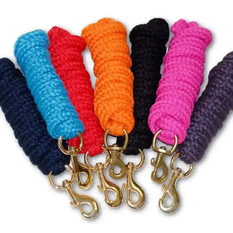 A set of six brightly colored rhinegold luxe lead rope halters with polypropolene soft padded braided ropes and large brass triggers