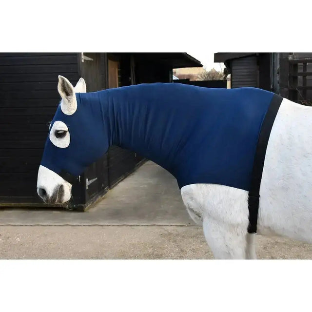 Blue rhinegold lycra hood with white eye and muzzle cutouts secured by black girth strap and robust neck zip