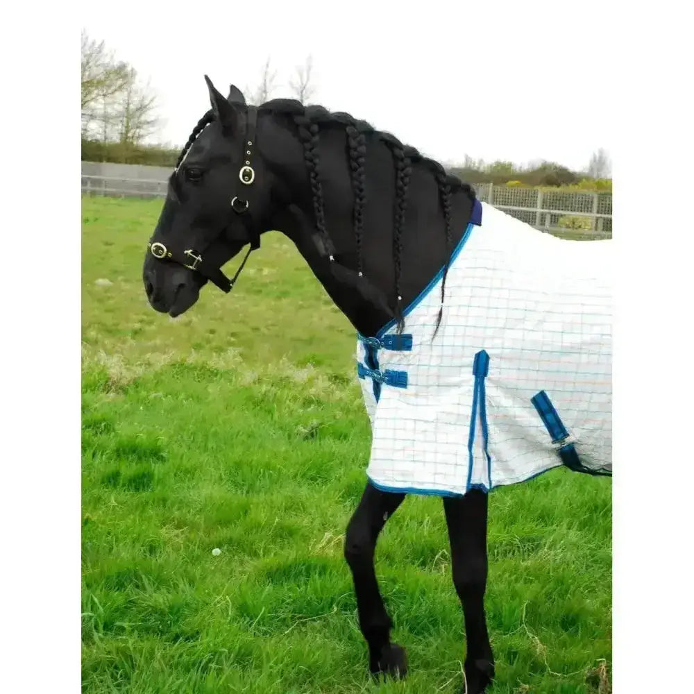 Black horse wearing a rhinegold maui check summer sheet rug in white and blue check with blue trim and buckle closures