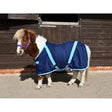 Navy and light blue rhinegold mini summer sheet with adjustable straps extra deep cotton horse blanket