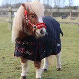 A navy blue rhinegold mini thor 350g heavy weight turnout rug with red trim silver buckles and embroidered logo