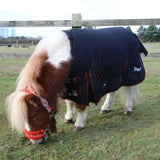 Navy blue rhinegold mini thor 350g heavy weight turnout rug with red trim silver buckles and embroidered logo on side