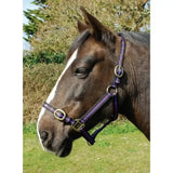 Purple plaid rhinegold nylon headcollar with brass fittings double layer nylon headcollars perfect for horses