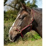 Red and black striped rhinegold nylon headcollar with brass fittings double layer nylon headcollars with leadropes