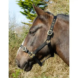 Black leather horse halter with brass buckles for rhinegold nylon headcollars and double layer nylon headcollars