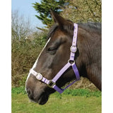 Purple leather horse halter with silver buckles as part of rhinegold nylon headcollars collection
